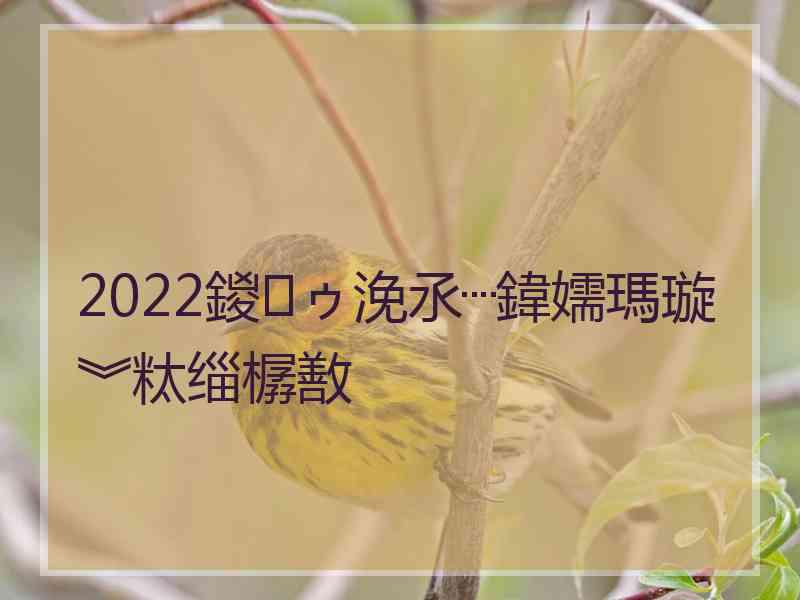 2022鍐ゥ浼氶┈鍏嬬瑪璇︾粏缁樼敾