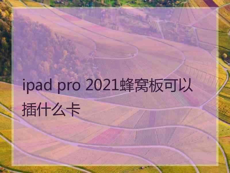 ipad pro 2021蜂窝板可以插什么卡