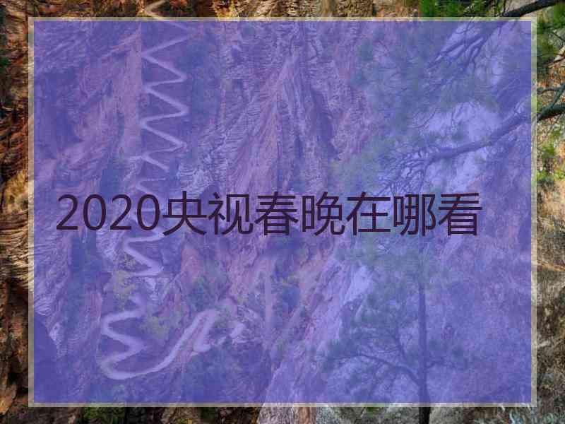 2020央视春晚在哪看