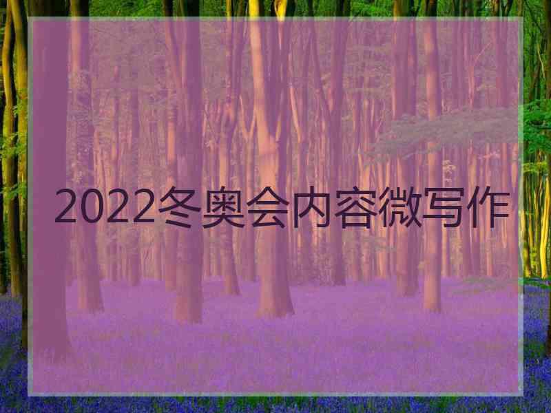 2022冬奥会内容微写作