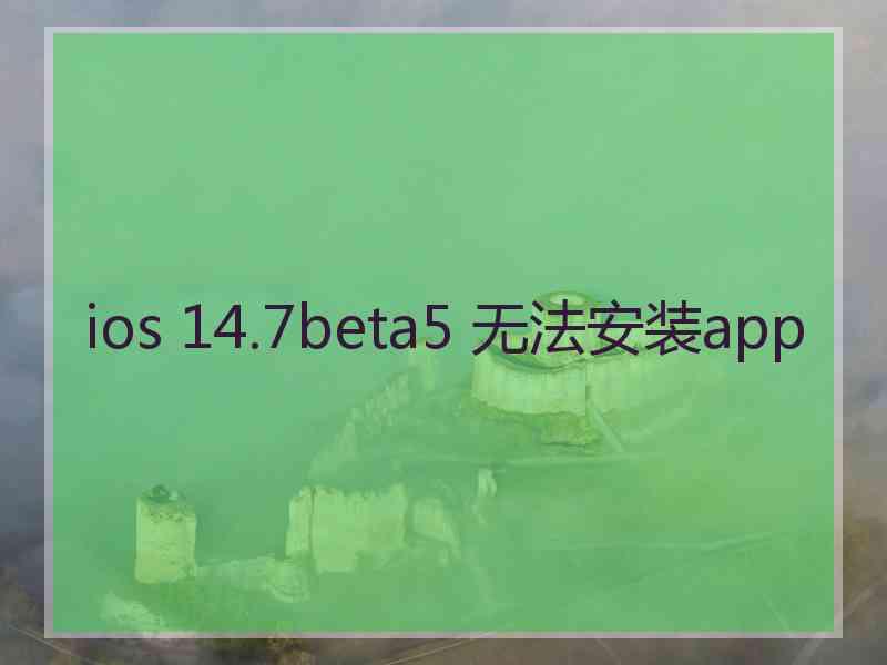 ios 14.7beta5 无法安装app