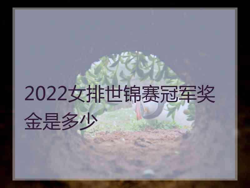 2022女排世锦赛冠军奖金是多少