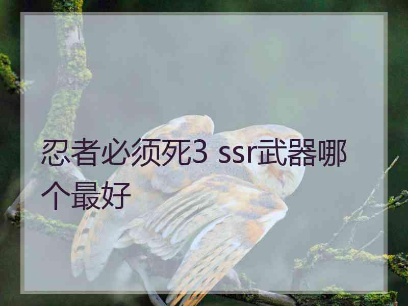 忍者必须死3 ssr武器哪个最好