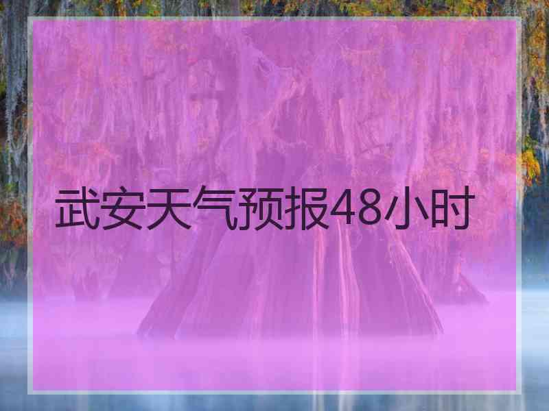 武安天气预报48小时