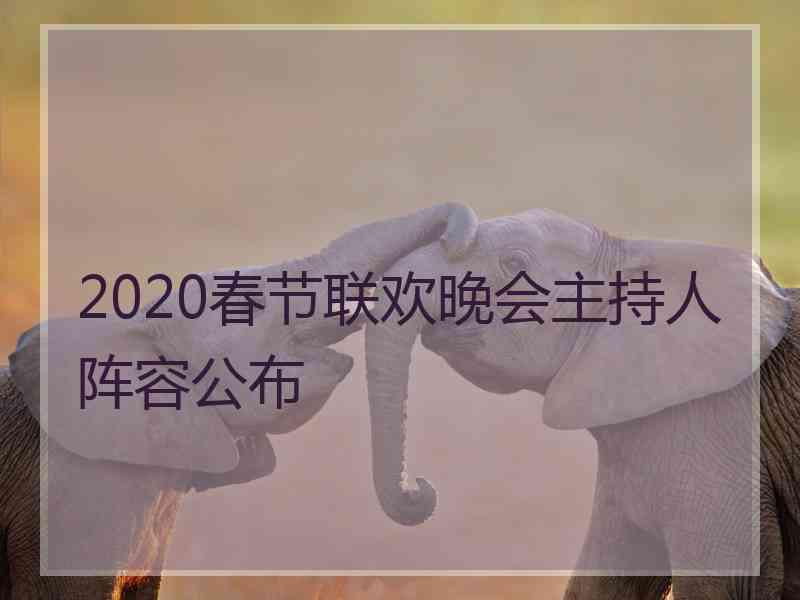 2020春节联欢晚会主持人阵容公布