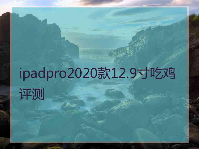 ipadpro2020款12.9寸吃鸡评测