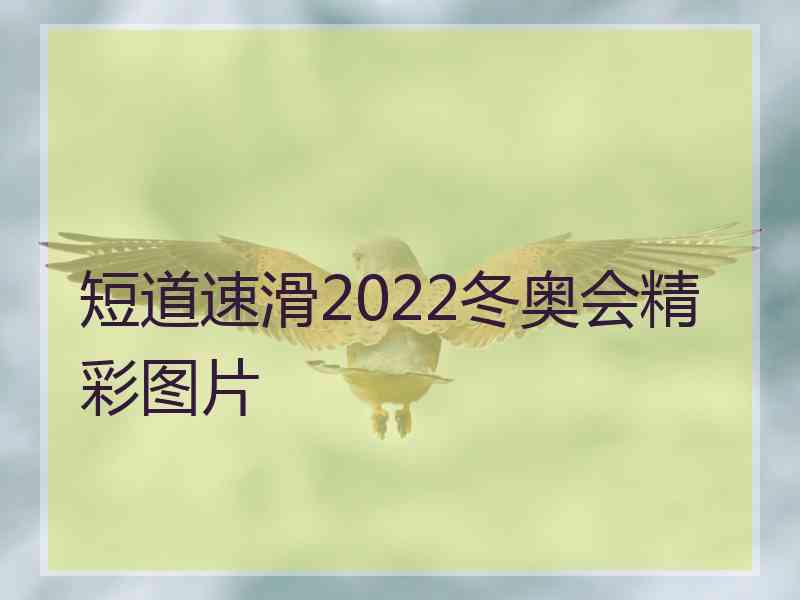 短道速滑2022冬奥会精彩图片