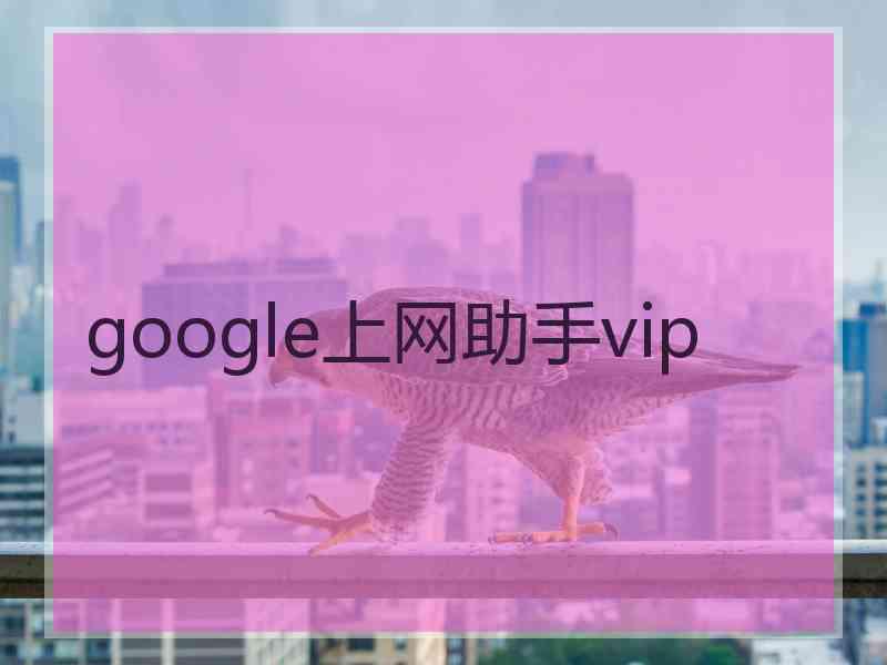 google上网助手vip