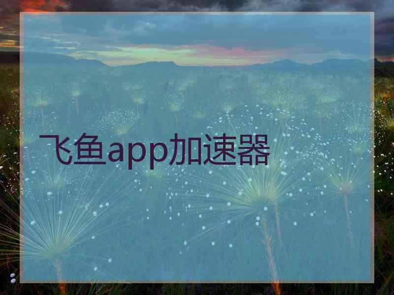 飞鱼app加速器