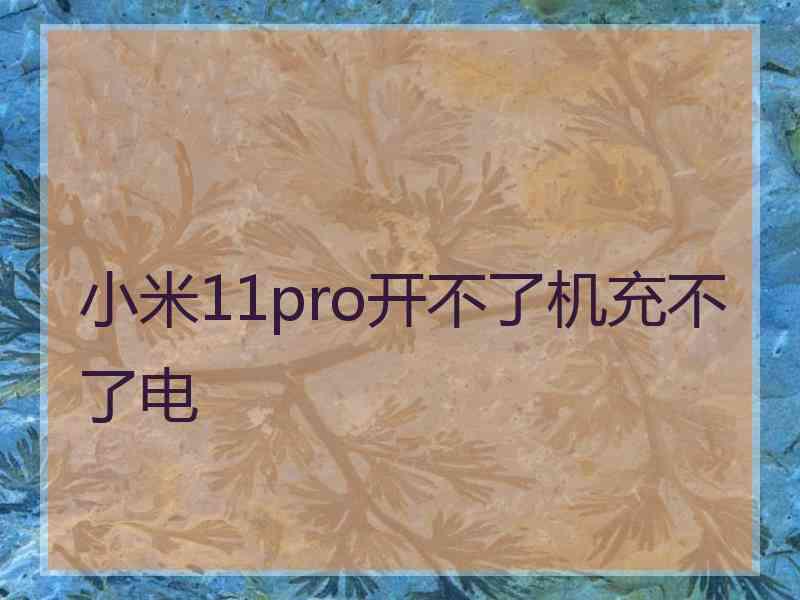 小米11pro开不了机充不了电