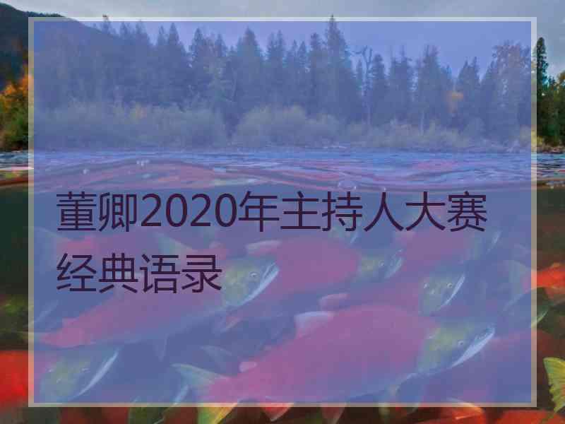 董卿2020年主持人大赛经典语录