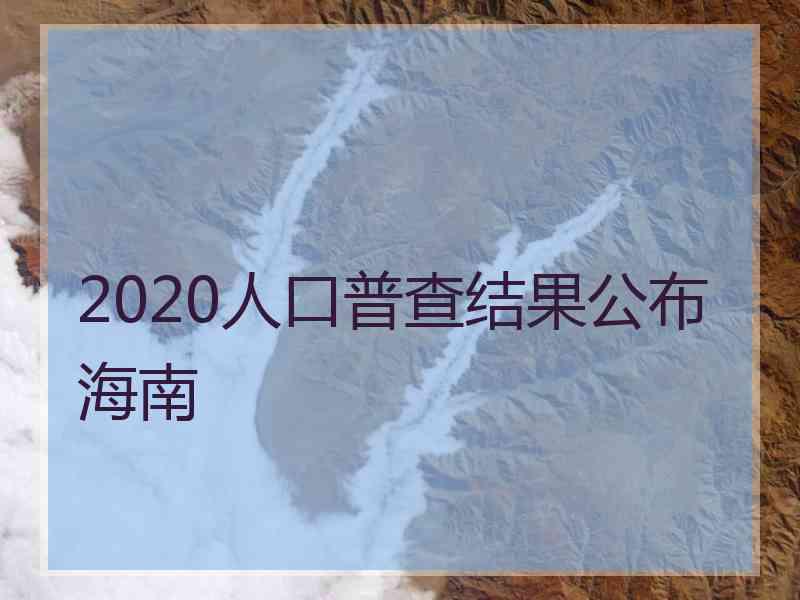 2020人口普查结果公布海南