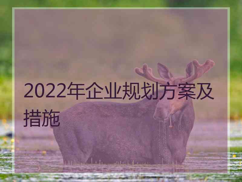 2022年企业规划方案及措施