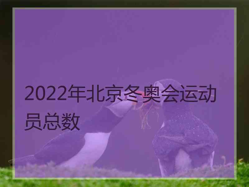 2022年北京冬奥会运动员总数