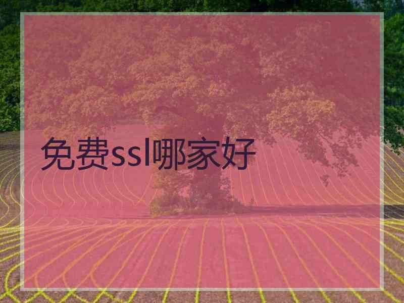 免费ssl哪家好