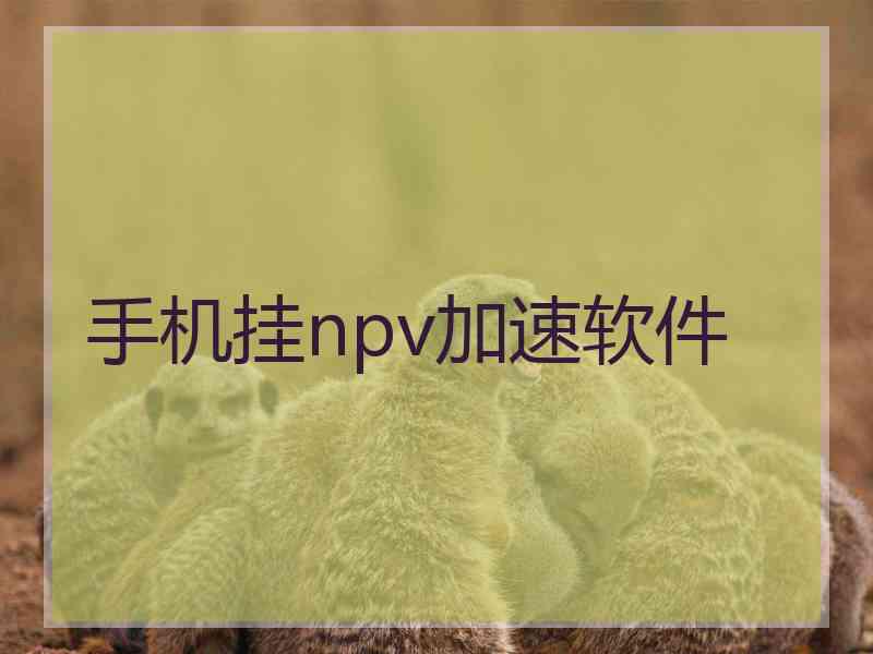 手机挂npv加速软件