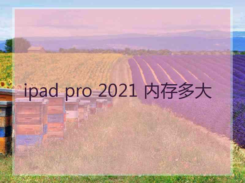 ipad pro 2021 内存多大