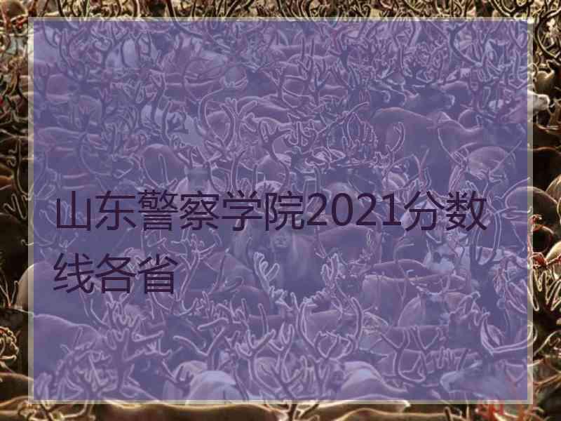 山东警察学院2021分数线各省