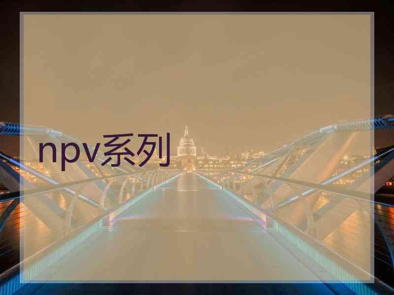 npv系列