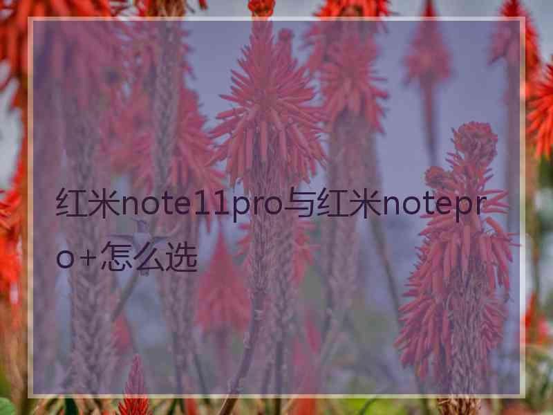 红米note11pro与红米notepro+怎么选