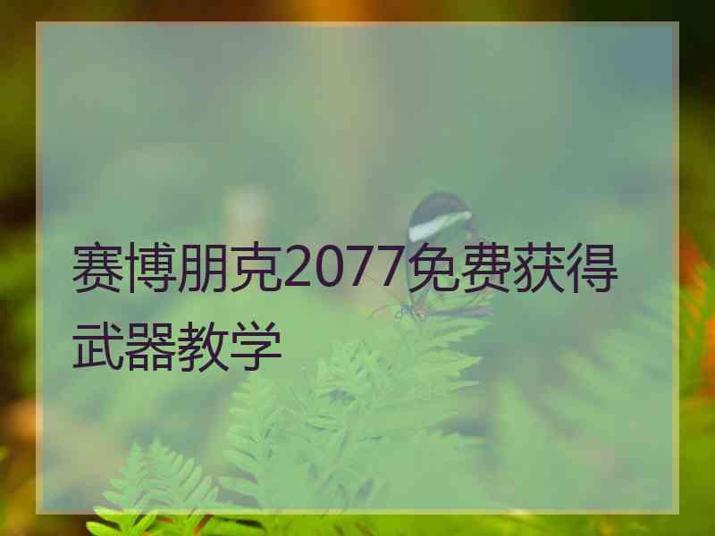 赛博朋克2077免费获得武器教学