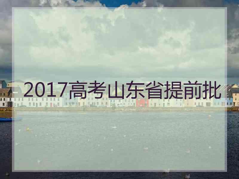 2017高考山东省提前批