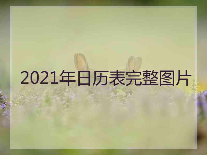 2021年日历表完整图片