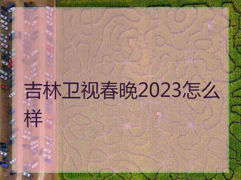 吉林卫视春晚2023怎么样