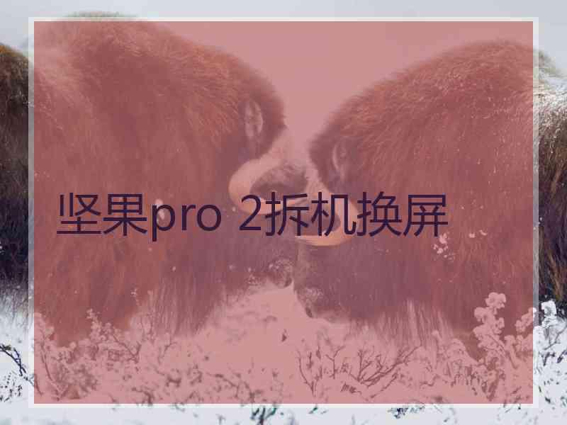 坚果pro 2拆机换屏