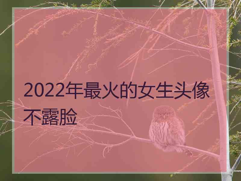 2022年最火的女生头像不露脸