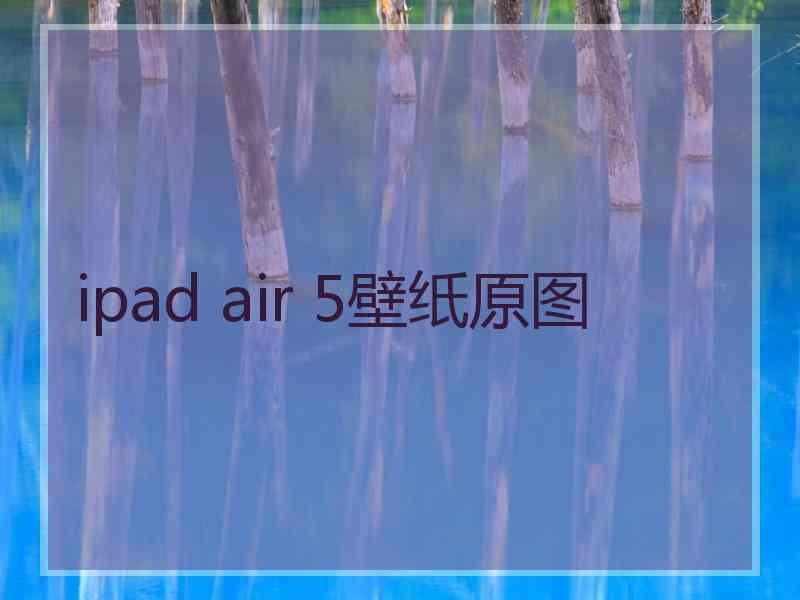 ipad air 5壁纸原图