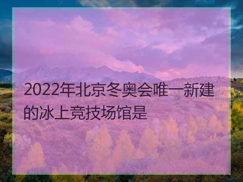 2022年北京冬奥会唯一新建的冰上竞技场馆是