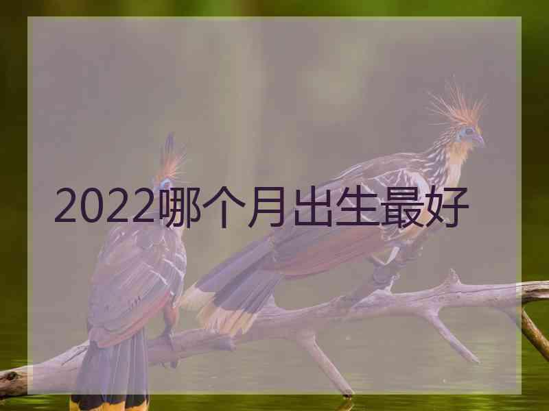 2022哪个月出生最好