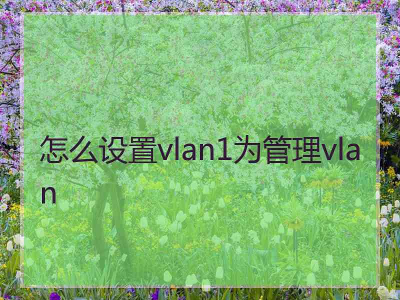 怎么设置vlan1为管理vlan