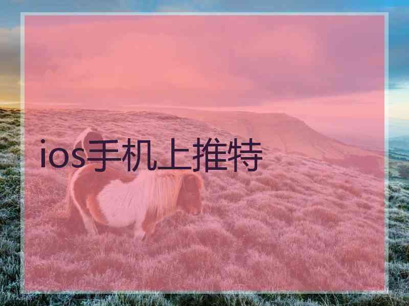 ios手机上推特