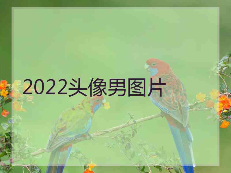 2022头像男图片