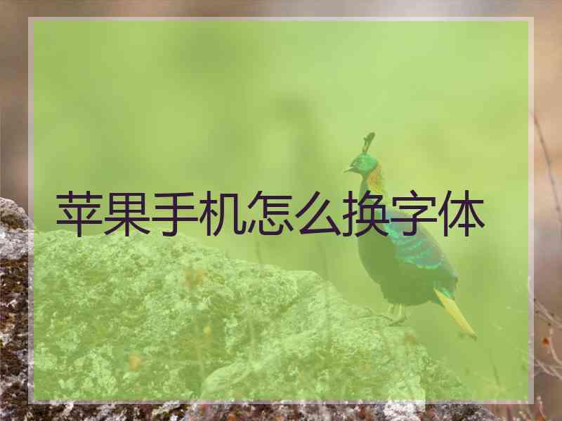 苹果手机怎么换字体