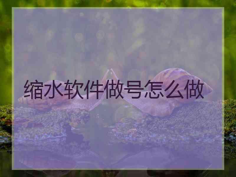 缩水软件做号怎么做