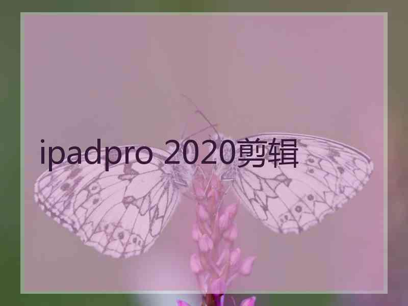 ipadpro 2020剪辑