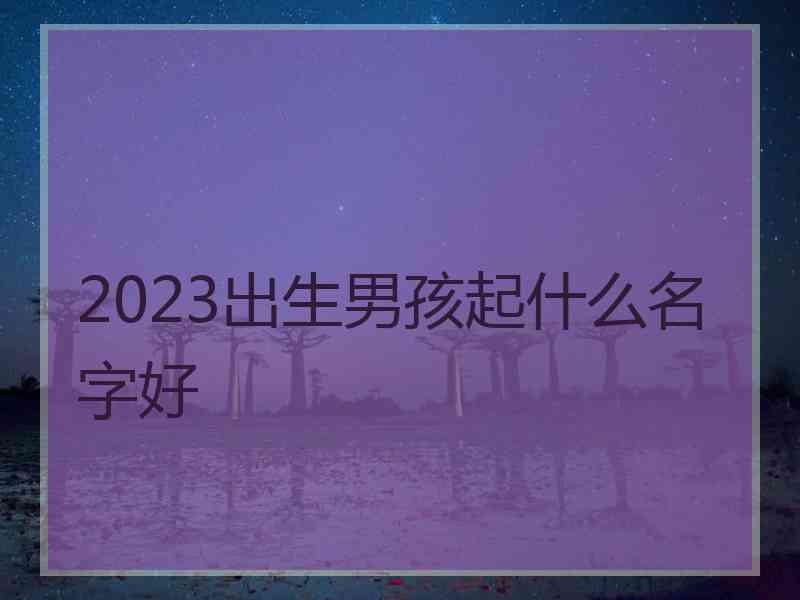 2023出生男孩起什么名字好