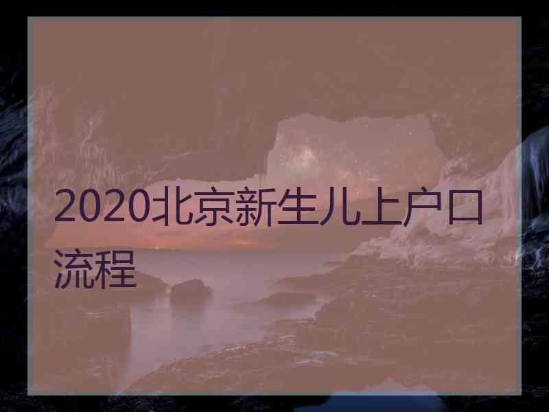 2020北京新生儿上户口流程