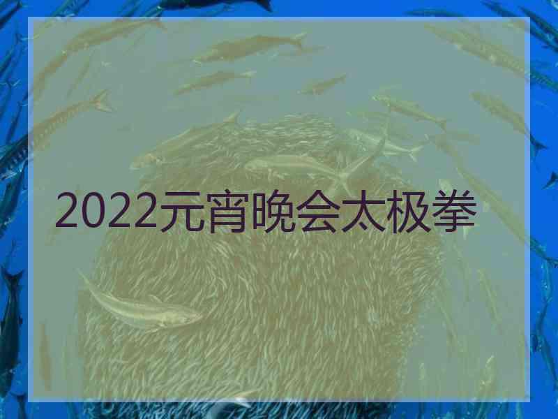 2022元宵晚会太极拳