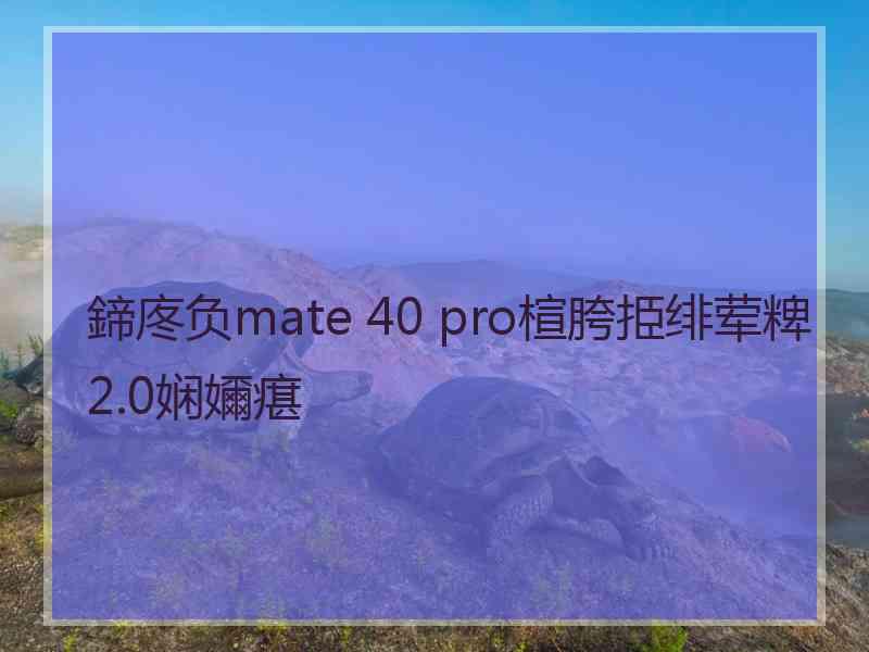 鍗庝负mate 40 pro楦胯挋绯荤粺2.0娴嬭瘎