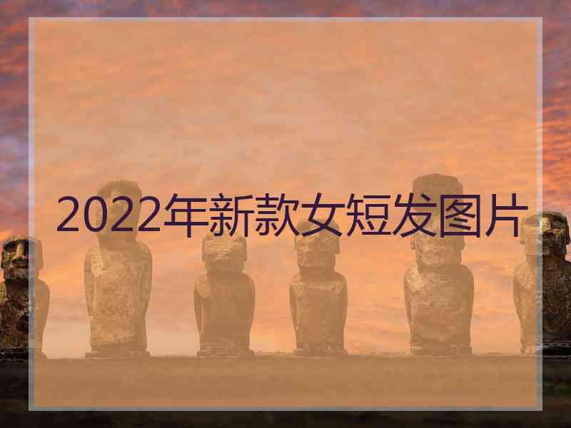 2022年新款女短发图片