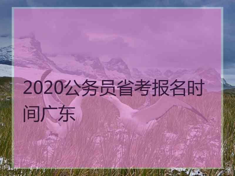 2020公务员省考报名时间广东