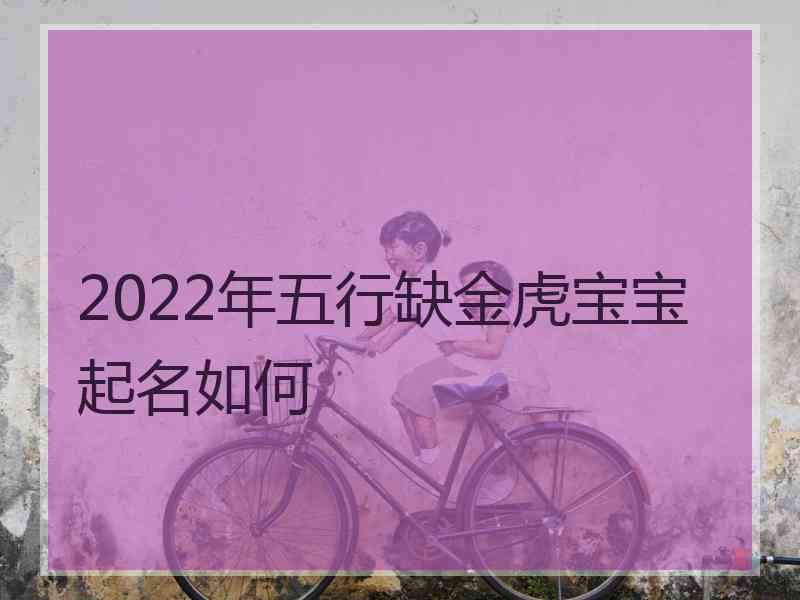 2022年五行缺金虎宝宝起名如何