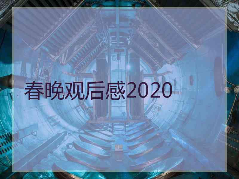 春晚观后感2020