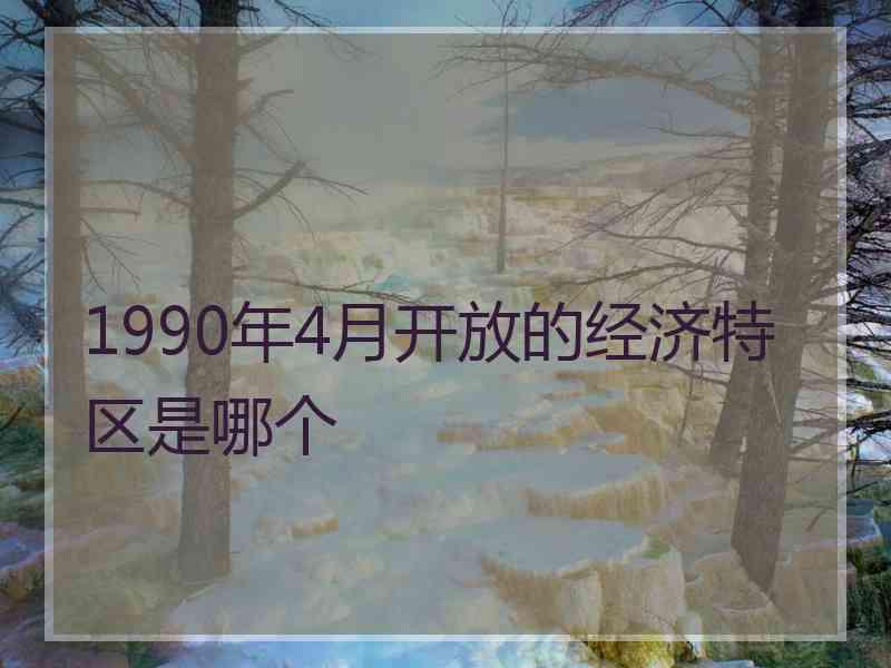 1990年4月开放的经济特区是哪个