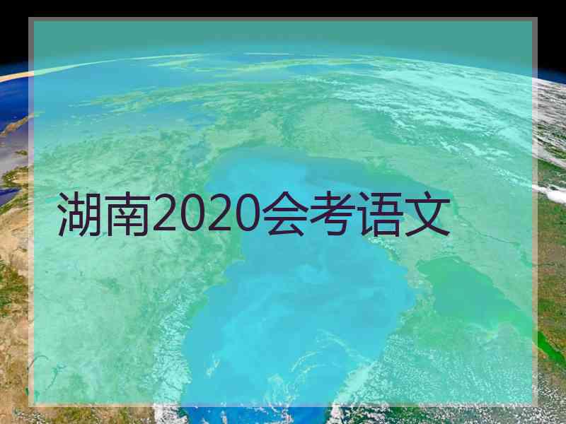 湖南2020会考语文