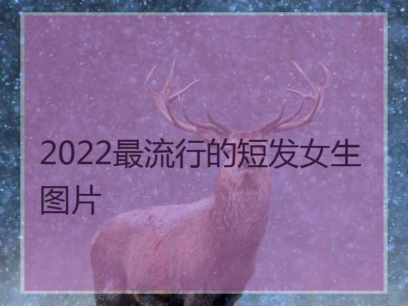 2022最流行的短发女生图片